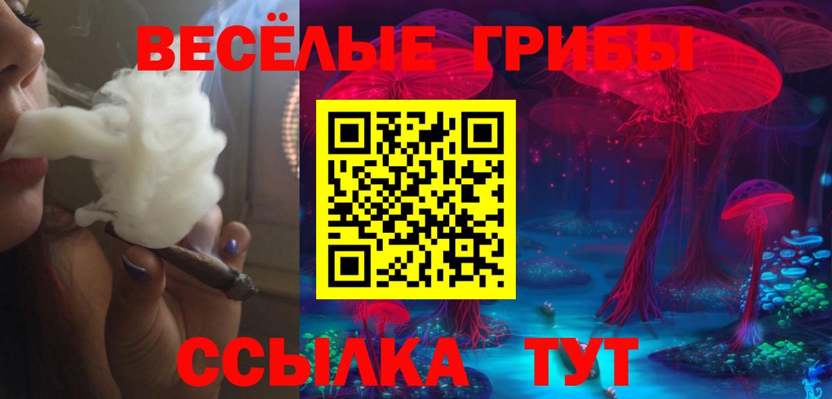 Галлюциногенные грибы Cubensis Канаш